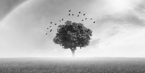 Εικόνα ενός μοναχικού δέντρου σε ένα λιβάδι σε μαύρο & άσπρο - 100x50