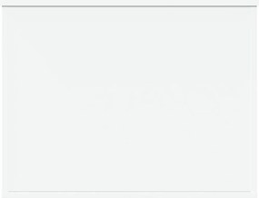 vidaXL Κουτί Αποθήκευσης Λευκό 60x42x46 εκ. Επεξεργασμένο Ξύλο