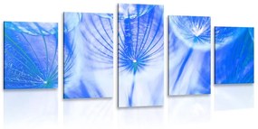 Εικόνα 5 τμημάτων Πικραλίδα σε μπλε - 100x50