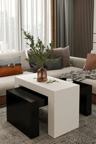 Stewehome Σετ 2 μοντέρνα τραπεζάκια σαλονιού από σαντουλάμ 50x90 cm