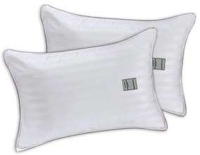Μαξιλάρια Ύπνου (Σετ 2τμχ) 3D Πλενόμενο White Guy Laroche 50Χ70 Microfiber