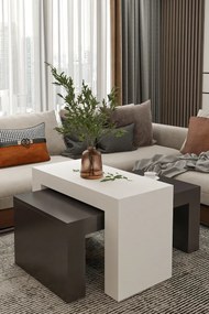 Stewehome Σετ 2 μοντέρνα τραπεζάκια σαλονιού από σαντουλάμ 50x90 cm