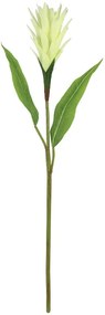 MarHome ΚΛΑΔΙ ΑΛΠΙΝΙΑ ΕΚΡΟΥ - Υ85cm 12/72KIB  00-10022-1