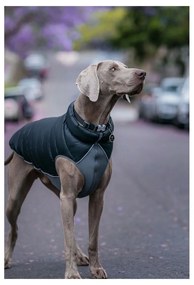 Παλτό Σκύλου Red Dingo Puffer 50 cm Μαύρο/Γκρι