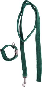 Λουράκι σκύλου με κολλάρο πράσινο medium 31-41x2εκ.