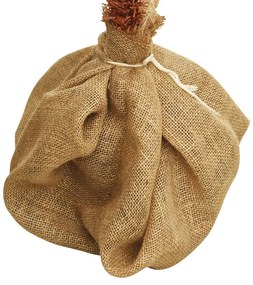 vidaXL Δέντρο Χριστουγεννιάτικο με LED 120 εκ.