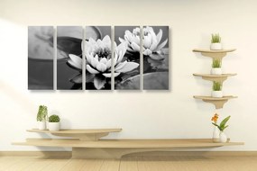 Εικόνα 5 τμημάτων λουλούδι λωτού στη λίμνη σε ασπρόμαυρο - 200x100