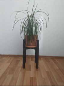 Stewehome Μαύρη ξύλινη γλάστρα οργανωτής από πεύκο Μαύρο