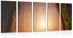 Δάσος με 5 μέρη εικόνα σε νεράιδα χρώματα - 200x100