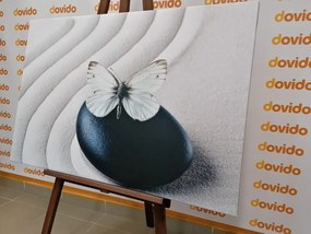 Εικόνα λευκής πεταλούδας σε μαύρη πέτρα - 90x60