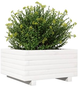 vidaXL Ζαρντινιέρα Κήπου Λευκή 50x50x26,5 εκ. από Μασίφ Ξύλο Πεύκου