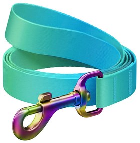 Nylon dog leash WAUDOG gradient, w. 15 mm, lgth. 122cm, blue