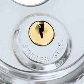vidaXL Κλειδώματα Discus με Κλειδιά 2 pcs Ασημί 9 x 2.8 x 9 εκ