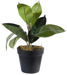 Supergreens Τεχνητό Φυτό Φίκος Elastica 30 εκ. - 0670-6 - 0670-6