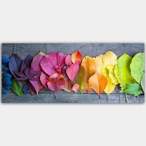 Πίνακας Καμβάς 451ERN1380 120x50cm Multi Wallity Οριζόντιοι Ξύλο, Καμβάς