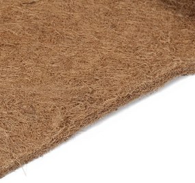 vidaXL Επίστρωμα 80 x 200 εκ. από Κοκοφοίνικα