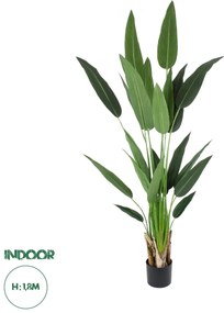 20030 GloboStar® Artificial Garden STRELITZIA 20030 Τεχνητό Διακοσμητικό Φυτό Στρελίτσια - Πουλί του Παραδείσου Υ180cm