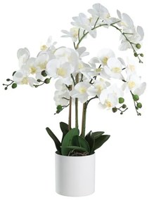 Τεχνητό Φυτό Ορχιδέα Λευκό 65cm Hyuga 428024 Eglo 428024
