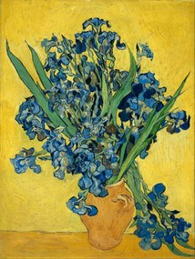 Εκτύπωση έργου τέχνης Irises (Vintage Flowers) - Vincent van Gogh, (30 x 40 cm)