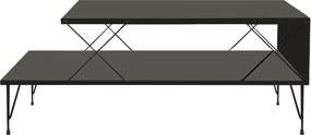 Τραπεζάκι Σαλονιού Ανθρακί FLOFO 100x50x40