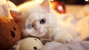 Σετ των 2 Intra Συλλεκτικό Ξύλινο Παζλ Plywood  4mm - Περίεργο λευκό γατάκι με πορτοκαλί αρκουδάκι Σε Ξύλινο Κουτί - Διαστάσεις: 10x10 cm – 25 κομμάτια