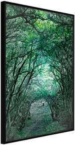 Αφίσα - Tree Tunnel - 30x45 - Μαύρο - Χωρίς πασπαρτού