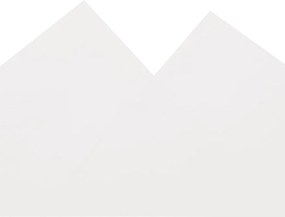 vidaXL Μουσαμάς Λευκός 4 x 5 μ. 650 γρ./μ²