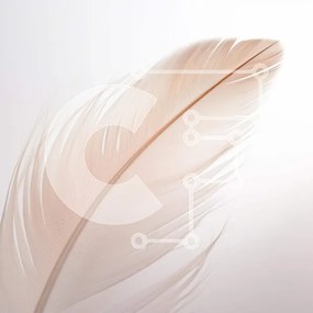 Intra Συλλεκτικό Ξύλινο Παζλ Plywood  4mm - Μονό λευκό φτερό που επιπλέει στον αέρα Σε Ξύλινο Κουτί - Διαστάσεις: 10x10 cm – 25 κομμάτια