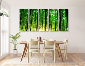 Εικόνα 5 μερών πράσινο δάσος - 100x50