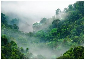 Φωτοταπετσαρία - Morning Fog 350x245