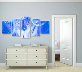 Εικόνα 5 τμημάτων Πικραλίδα σε μπλε