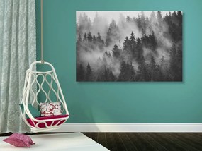 Εικόνα βουνών στην ομίχλη σε μαύρο & άσπρο - 120x80