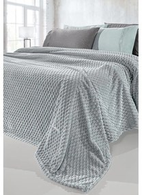 Κουβέρτα Fleece Μονή (160x220) + Διακοσμητική Μαξιλαροθήκη (Σετ) Guy Laroche Smoothie Silver