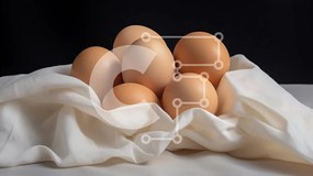 Σετ των 2 Intra Συλλεκτικό Ξύλινο Παζλ Plywood 4mm - Συλλογή από αυγά σε λευκό ύφασμα Σε Ξύλινο Κουτί - Διαστάσεις: 10x10 cm – 25 κομμάτια