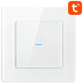 Smart Light Switch WiFi Avatto N-TS10-W1 1 Way TUYA (white)
