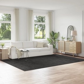 Χαλιά Shaggy με Λατέξ Στην Πίσω Όψη Σκούρο Γκρί 240x340 εκ
