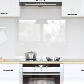 Πίσω Πάνελ Κουζίνας Διαφανές 80 x 60 cm σκληρυμένο γυαλί