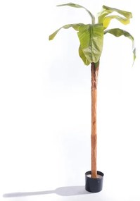 Supergreens Τεχνητό Δέντρο Μπανανιά "Musa Vertica" Πράσινο160 εκ