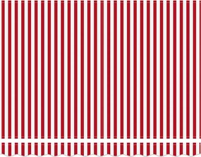 vidaXL Σκελετός Τέντας Κόκκινο και Λευκό 250 x 200 cm