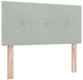 vidaXL Κρεβάτι με ελατήρια Ανοιχτό γκρι 120 x 200 cm Βελούδο