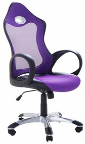 Καρέκλα γραφείου Berwyn 253, Μωβ, 109x67x67cm, 14 kg, Με ρόδες, Με μπράτσα, Μηχανισμός καρέκλας: Κλίση | Epipla1.gr