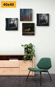 Σετ εικόνων με όμορφα σχέδια των ζώων του δάσους - 4x 60x60