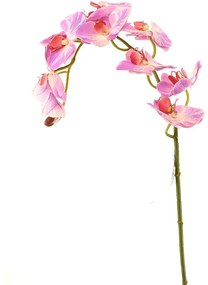 Τεχνητό Κλωνάρι Ορχιδέα 8380-7 75cm Fuchsia Supergreens Polyethylene