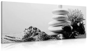 Εικόνα πέτρες Zen με κοχύλια σε μαύρο & άσπρο - 100x50