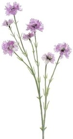Beauty Home ΛΟΥΛΟΥΔΙ 68 CM