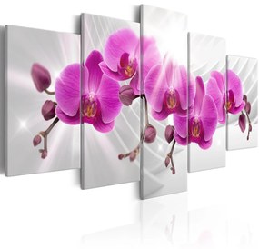 Πίνακας - Abstract Garden: Pink Orchids 200x100