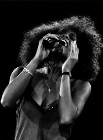 Φωτογραφία Whitney Houston, 1988