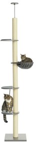 PawHut Ορθοστάτης για γάτες με αιώρα, με ελατήριο οροφής, ύψος οροφής, 40 εκ. x 40 εκ. x 250 εκ., Γκρι + Κρεμ