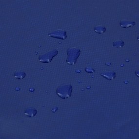 vidaXL Μουσαμάς Μπλε 3 x 6 μ. 650 γρ./μ²