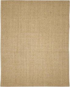 vidaXL Χαλί Σιζάλ για Ονυχοδρόμιο 80x100 εκ.